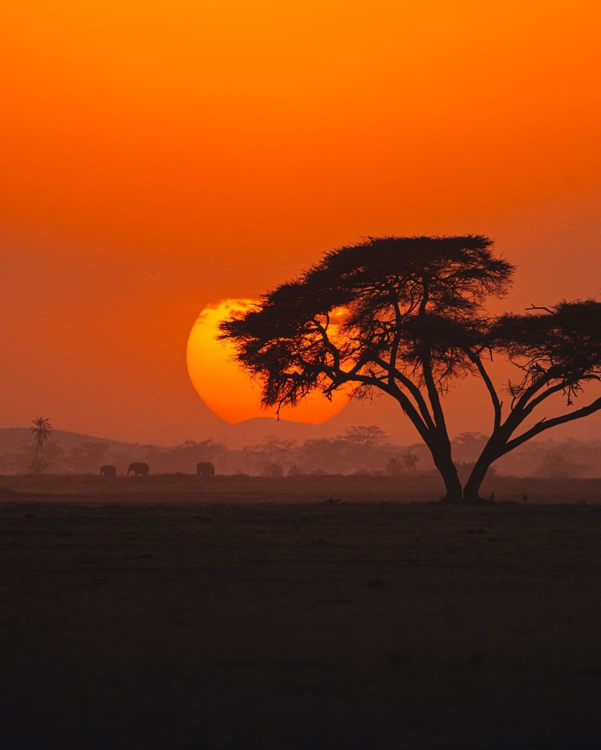 Kilima Luxury Architectural Sanctuary in the Great Rift Valley